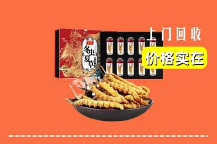 昆明东川区回收冬虫夏草