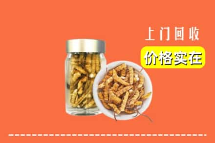 收购资讯:昆明东川区回收散虫草