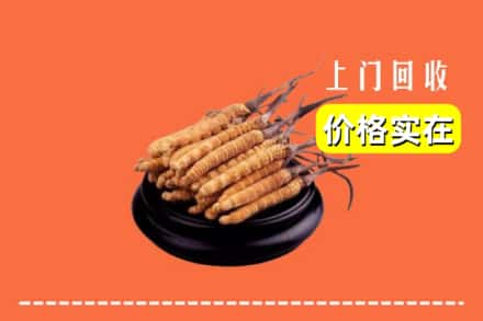 收购资讯:昆明东川区回收冬虫夏草
